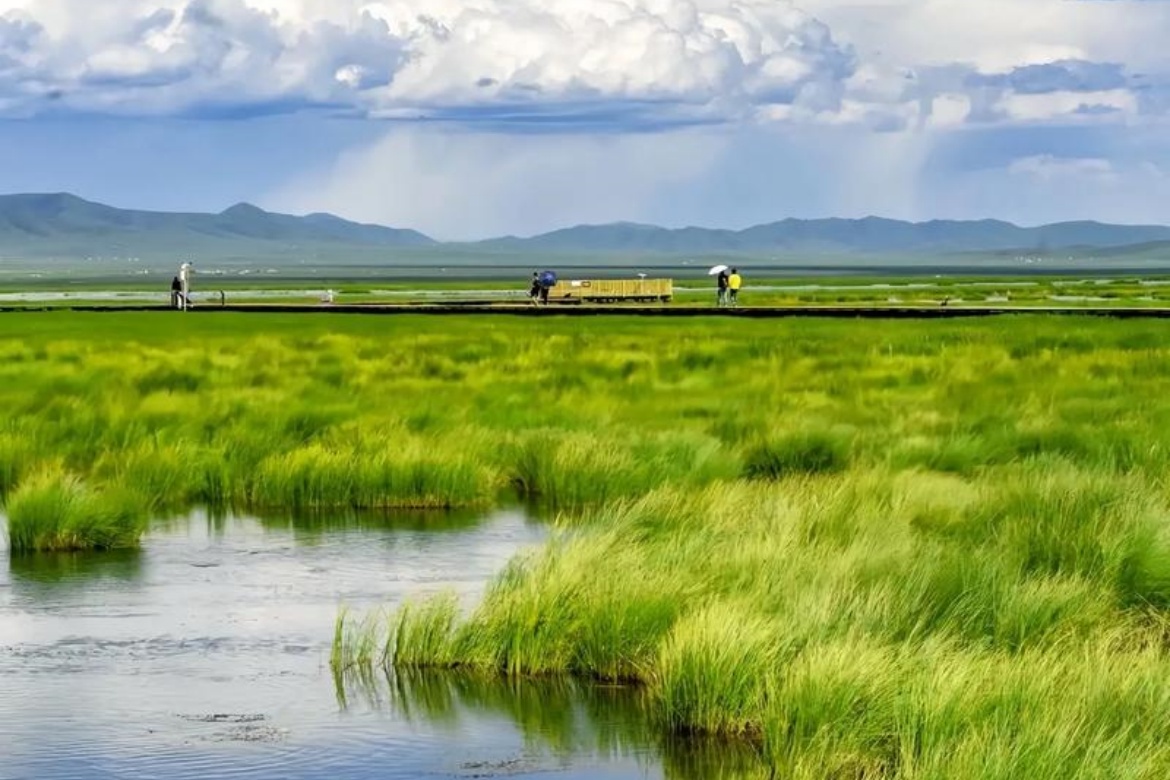 Zoige Wetland